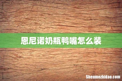 恩尼诺奶瓶鸭嘴怎么装