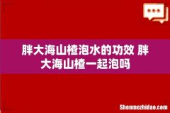 胖大海山楂泡水的功效 胖大海山楂一起泡吗