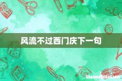 风流不过西门庆下一句