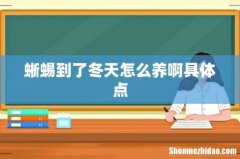 蜥蜴到了冬天怎么养啊具体点