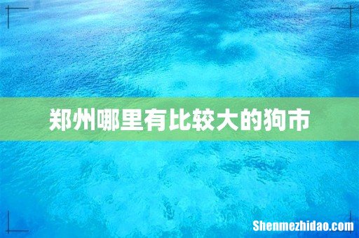 郑州哪里有比较大的狗市
