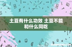 土豆有什么功效 土豆不能和什么同吃