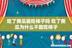 吃了南瓜能吃柿子吗 吃了南瓜为什么不能吃柿子