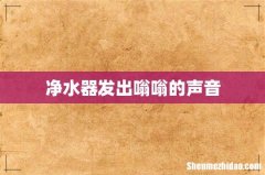 净水器发出嗡嗡的声音
