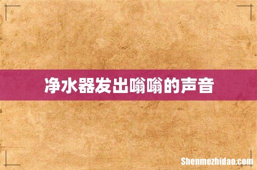 净水器发出嗡嗡的声音