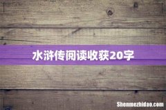 水浒传阅读收获20字