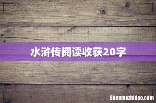 水浒传阅读收获20字