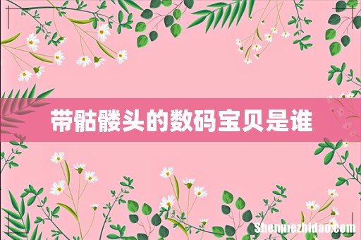 带骷髅头的数码宝贝是谁