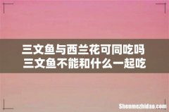 三文鱼与西兰花可同吃吗 三文鱼不能和什么一起吃