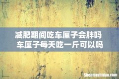 减肥期间吃车厘子会胖吗 车厘子每天吃一斤可以吗