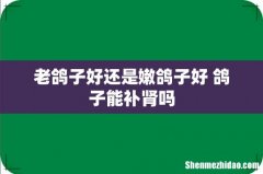 老鸽子好还是嫩鸽子好 鸽子能补肾吗