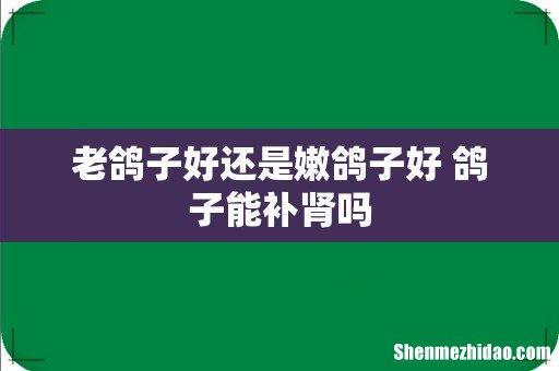 老鸽子好还是嫩鸽子好 鸽子能补肾吗