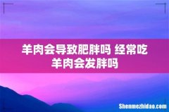 羊肉会导致肥胖吗 经常吃羊肉会发胖吗