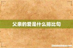 父亲的爱是什么排比句