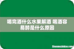 喝完酒什么水果解酒 喝酒容易醉是什么原因