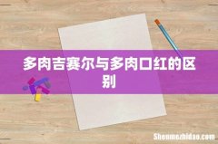 多肉吉赛尔与多肉口红的区别