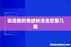 你是我的奇迹林泽去世第几集