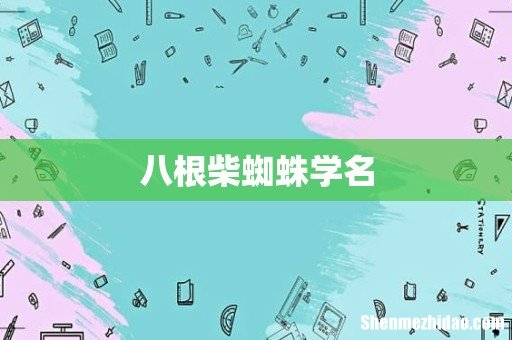 八根柴蜘蛛学名