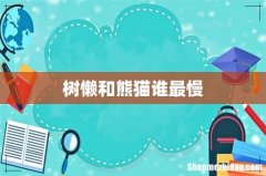 树懒和熊猫谁最慢
