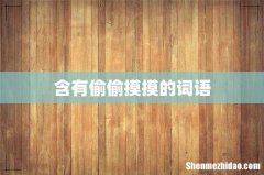 含有偷偷摸摸的词语