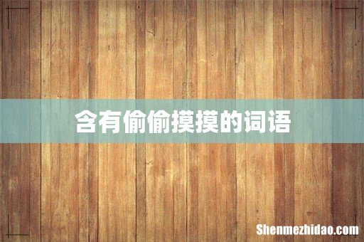 含有偷偷摸摸的词语