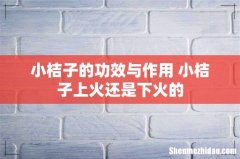 小桔子的功效与作用 小桔子上火还是下火的