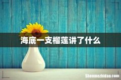 海底一支榴莲讲了什么