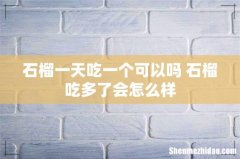 石榴一天吃一个可以吗 石榴吃多了会怎么样