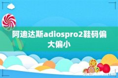 阿迪达斯adiospro2鞋码偏大偏小