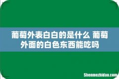 葡萄外表白白的是什么 葡萄外面的白色东西能吃吗