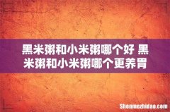 黑米粥和小米粥哪个好 黑米粥和小米粥哪个更养胃