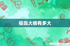 樱岛大根有多大