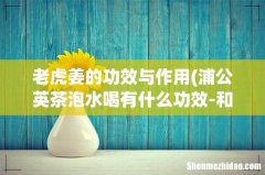 浦公英茶泡水喝有什么功效-和作用老虎姜的做法有哪些- 老虎姜的功效与作用