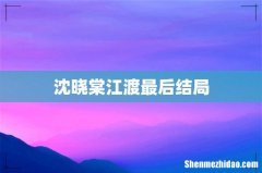 沈晓棠江渡最后结局