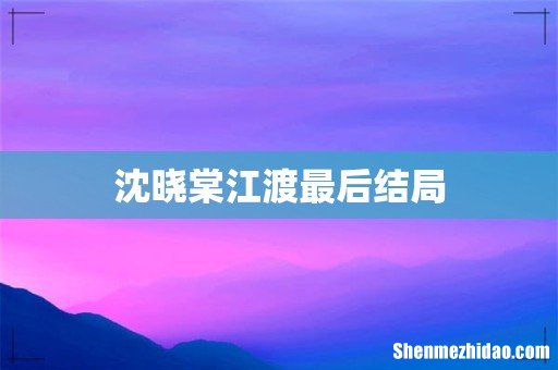 沈晓棠江渡最后结局