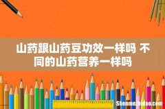 山药跟山药豆功效一样吗 不同的山药营养一样吗
