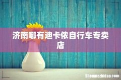 济南哪有迪卡侬自行车专卖店