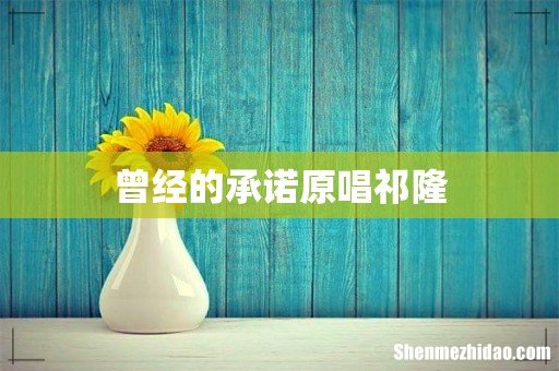 曾经的承诺原唱祁隆