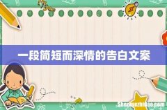 一段简短而深情的告白文案