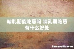 哺乳期能吃葱吗 哺乳期吃葱有什么好处