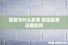 茼蒿为什么发黑 茼蒿发黑还能吃吗