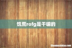 饥荒rofg是干嘛的