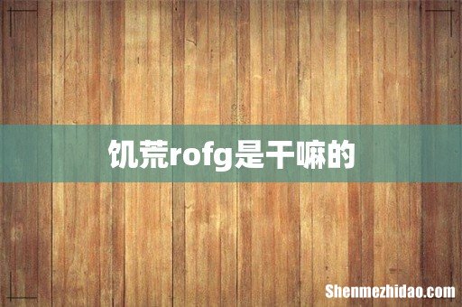 饥荒rofg是干嘛的