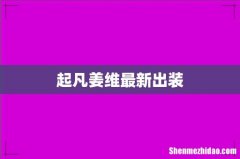 起凡姜维最新出装
