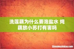 洗莲藕为什么要泡盐水 炖藕放小苏打有害吗