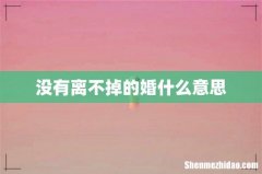 没有离不掉的婚什么意思