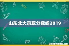 山东北大录取分数线2019
