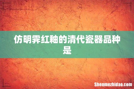 仿明霁红釉的清代瓷器品种是