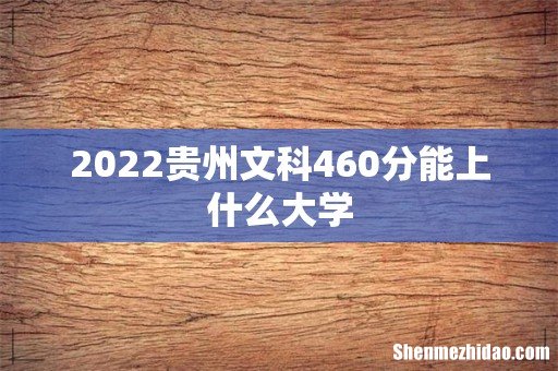 2022贵州文科460分能上什么大学