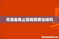 花洒曲角止回阀需要去掉吗